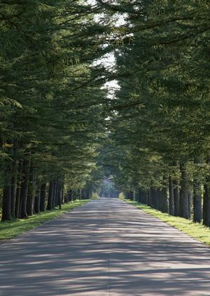北九州でパニック障害を治療できる病院
