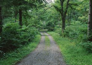 兆候があれば小倉のメンタルクリニックへ